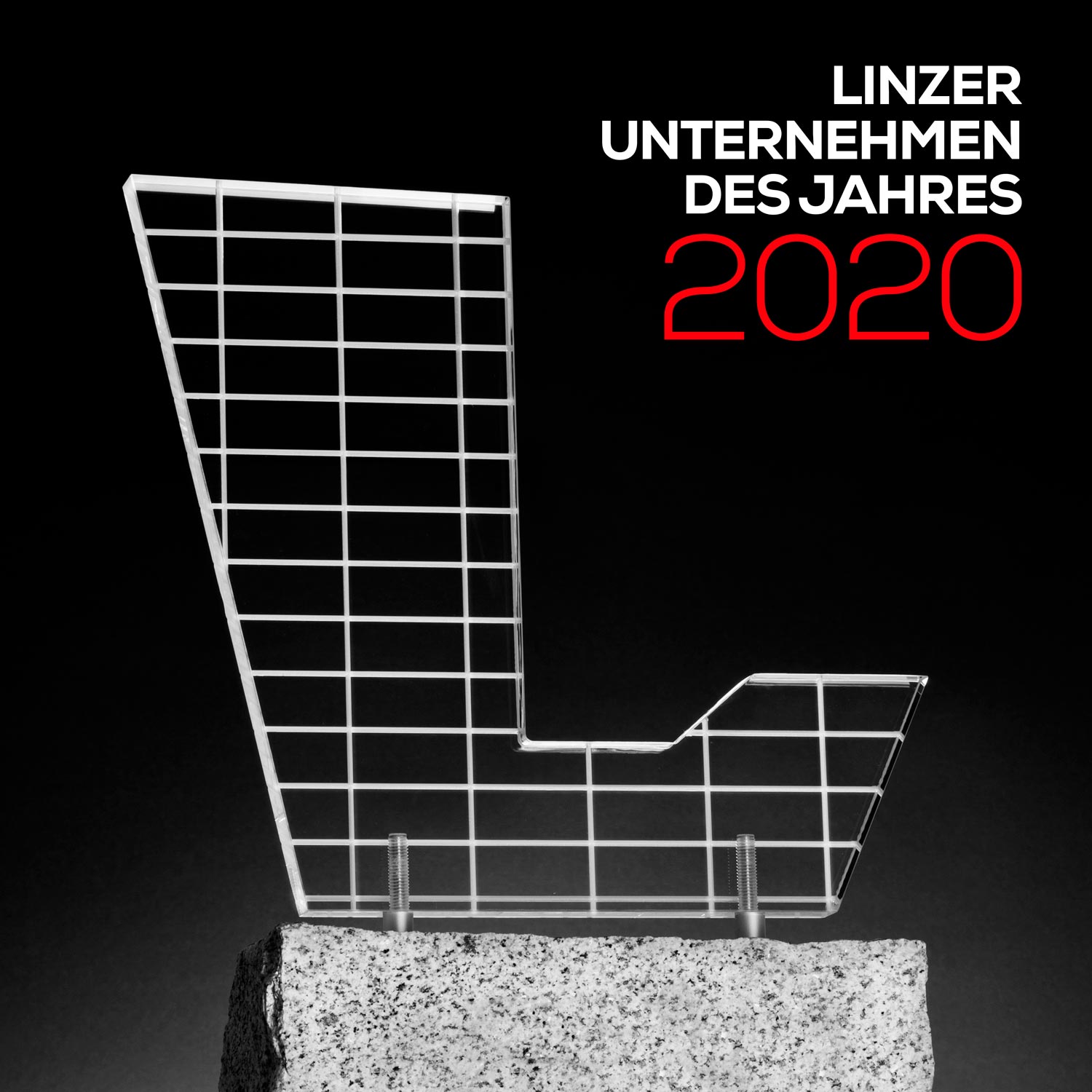 Hirsch  international Preis 2020